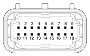 G13850691
