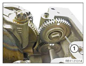G13858972