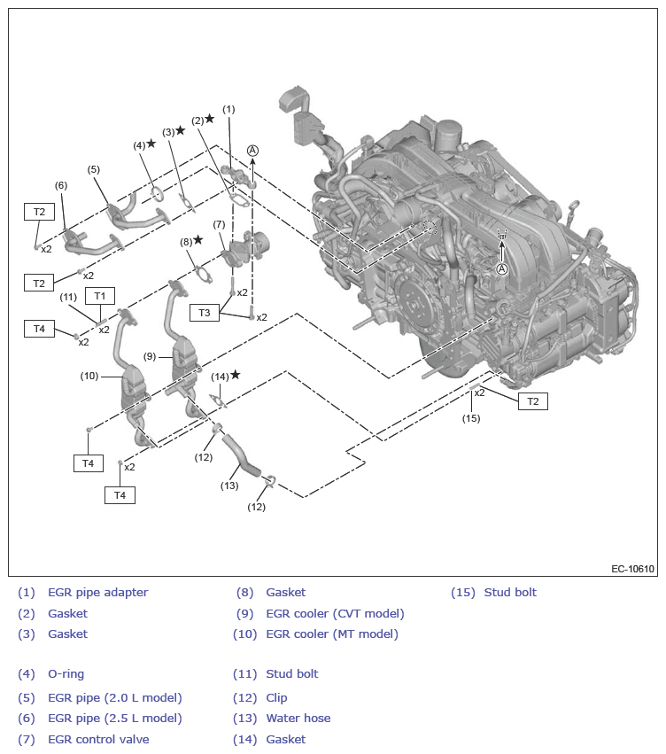 G13875735