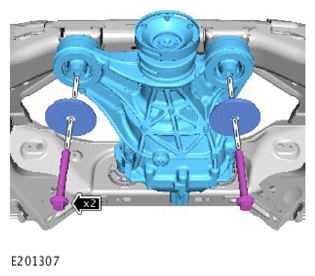 G13877605