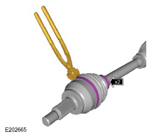 G13877634