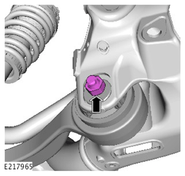 G13877809