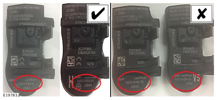 G13878081