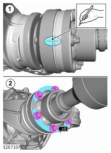 G13878324