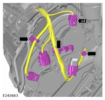 G13879250