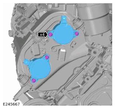 G13879254