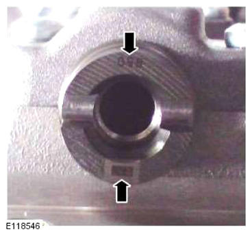 G13882674