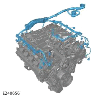 G13882894