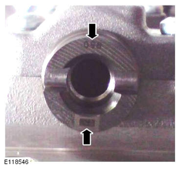 G13883052