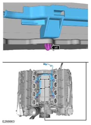 G13883218