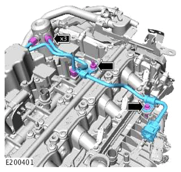 G13883826