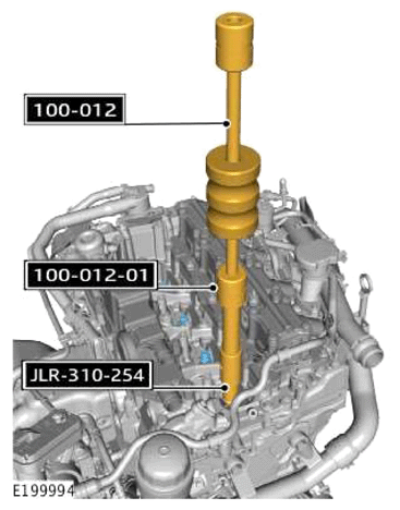 G13883854