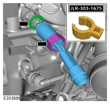 G13883908