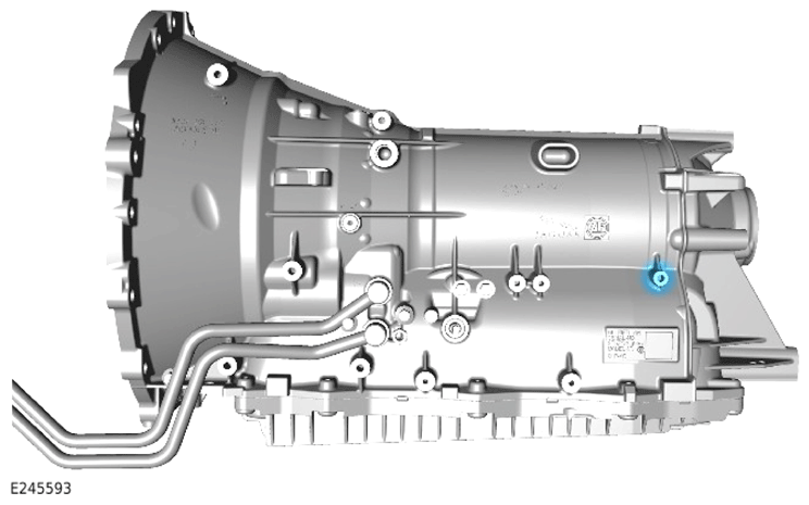 G13884595