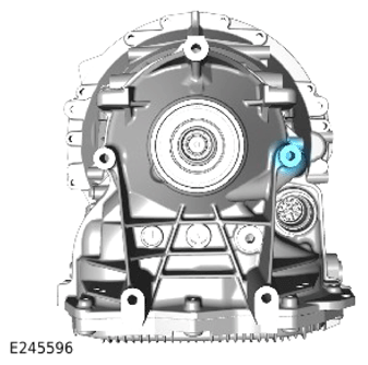 G13884597