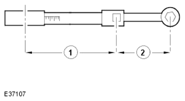G13884873