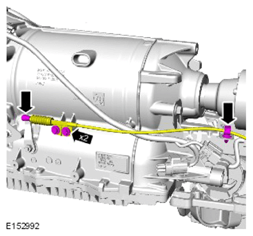 G13884892
