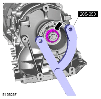 G13884896