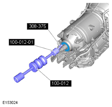 G13884898