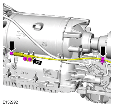 G13884905