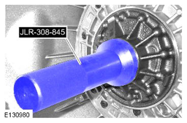 G13884918