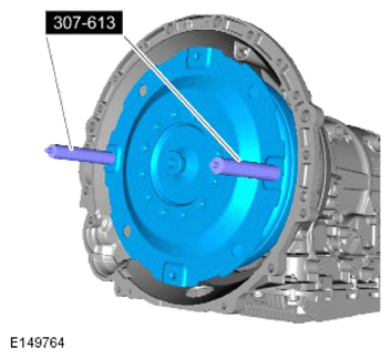 G13884919