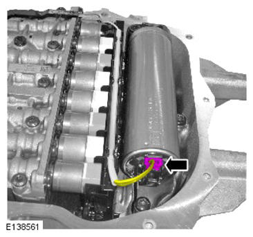G13884946