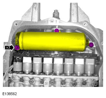 G13885308