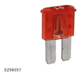 G13887828