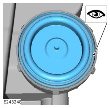 G13889091