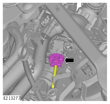 G13889544