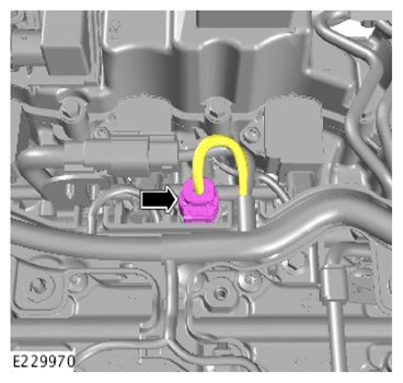 G13889578