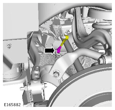 G13891447