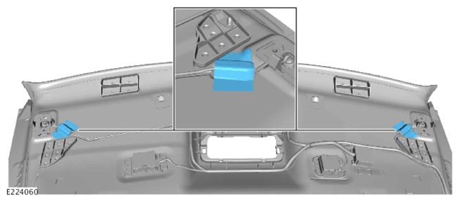 G13891566