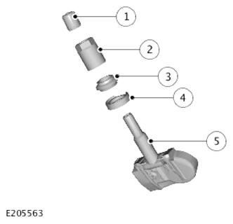 G13891570