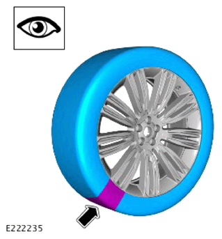 G13891573