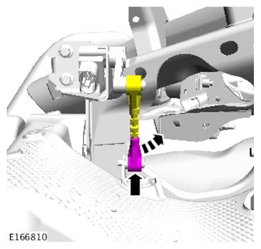 G13891596
