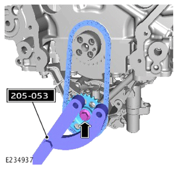 G13894508