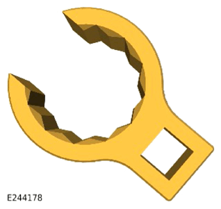 G13894686
