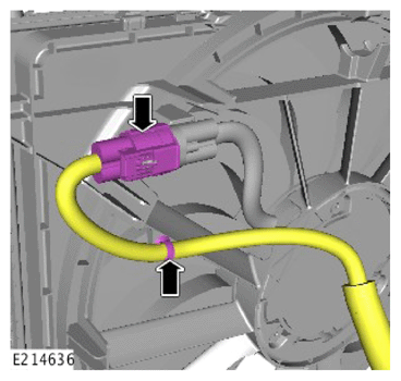 G13895026
