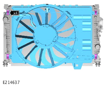 G13895032