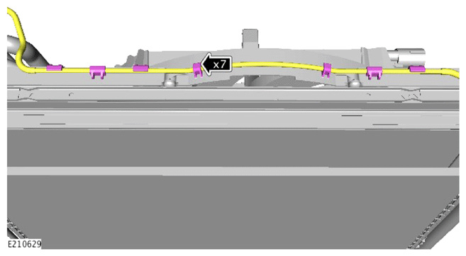 G13895069