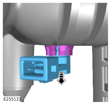 G13895080