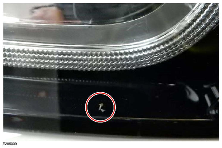 G13895510