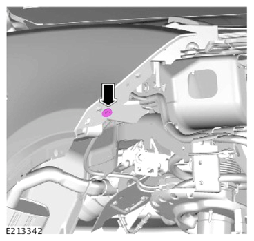 G13895675