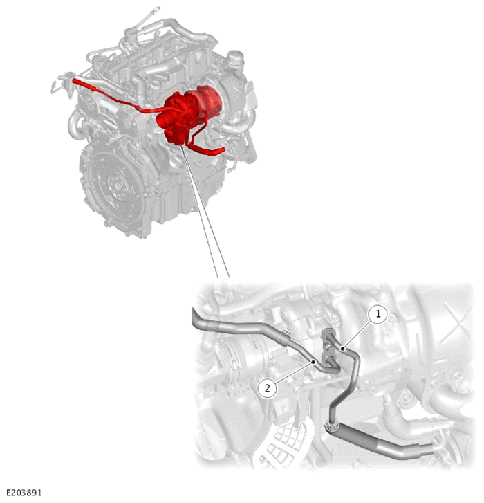 G13897509