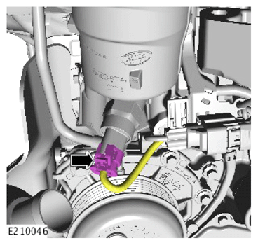 G13897559