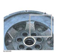 G13900650
