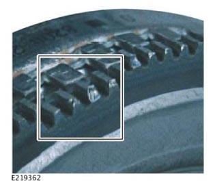 G13900659