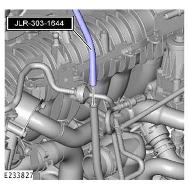 G13900788